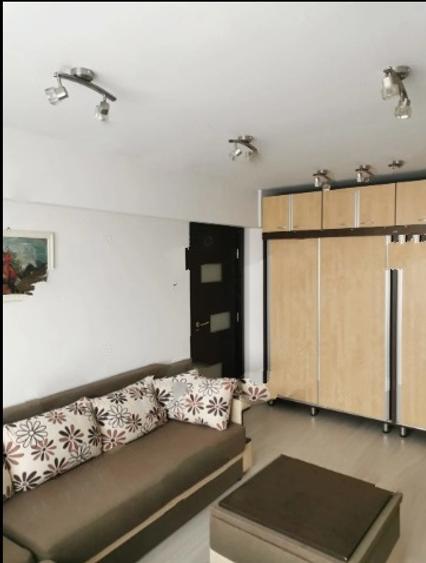 Tineretului,Parc,bl.1984,reabilitat,Amenajat,centrala,2 bai, parcare,mobilat, - 6