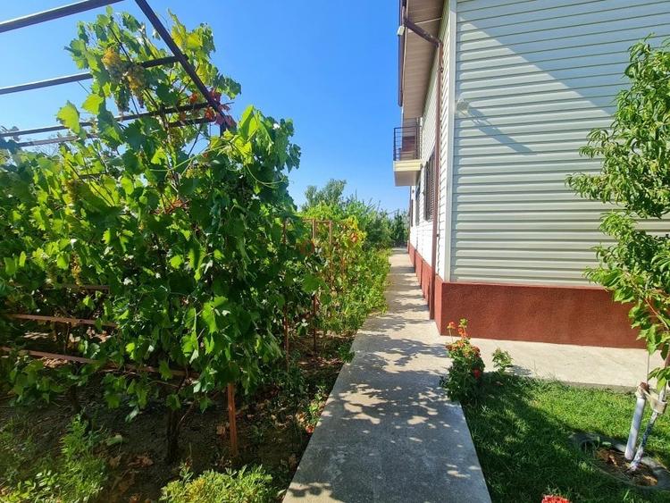 Vila de Vis în Domnești – Spațiu Generos și Confort Premium! - 9