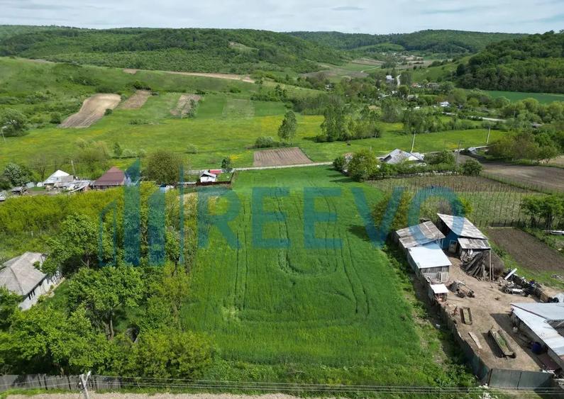 Teren de vanzare, Sat Valea Mare, Com. Ro?iori, Bacau - 3