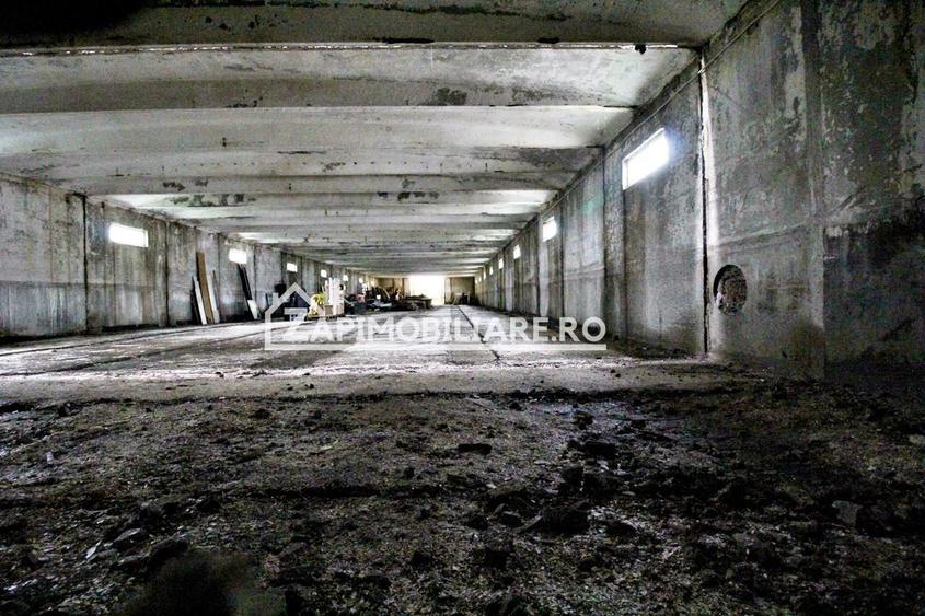 Hala 1244 mp, 1478 mp teren, Ungheni, 0% comision - 6