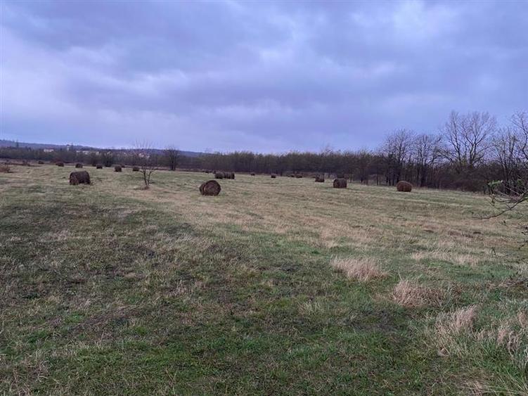 Teren Construcții extravilan de 5087 mp, în Sud-Vest