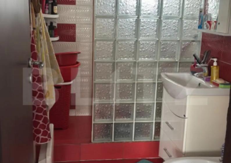 Casuta cocheta gata de locuit,Jelna - 8