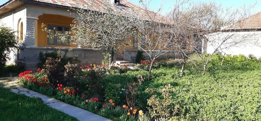 Casa la tara cu teren curte mare - 2