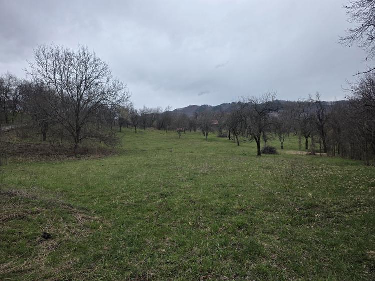 De Vanzare Casa plus Teren - 5