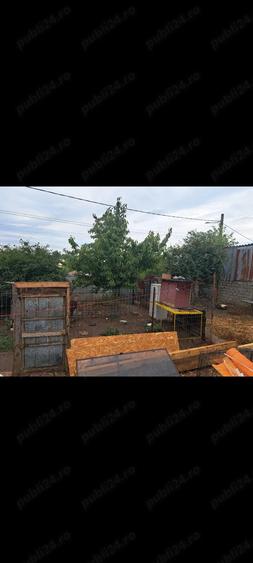 Casa de vinzare in Caracal - 6