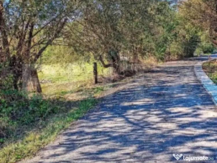 Teren INTRAVILAN cu posibilitate de parcelare ZONA DEOSEBIT? - 4