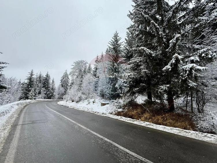 Teren 1,419mp Moroeni / DN 71 - 1