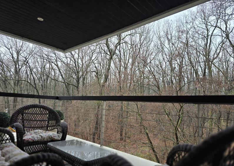 Apartament 3 camere Iancu Nicolae, padure, mobilat, utilat - 13