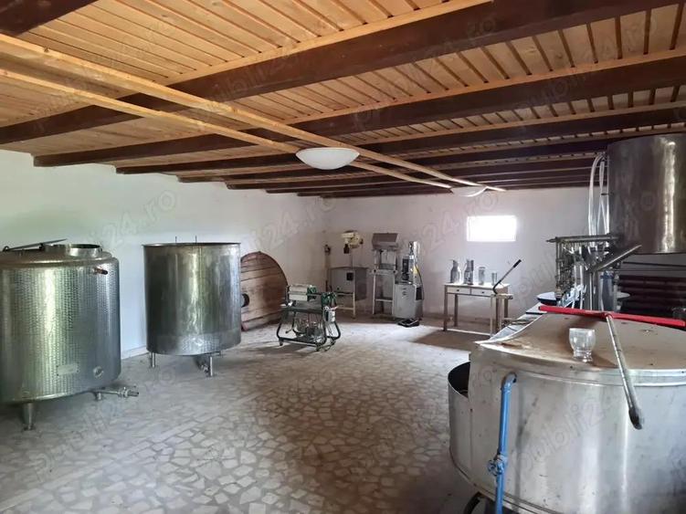 Crama de vanzare Odobesti -Vartescoiu - 9