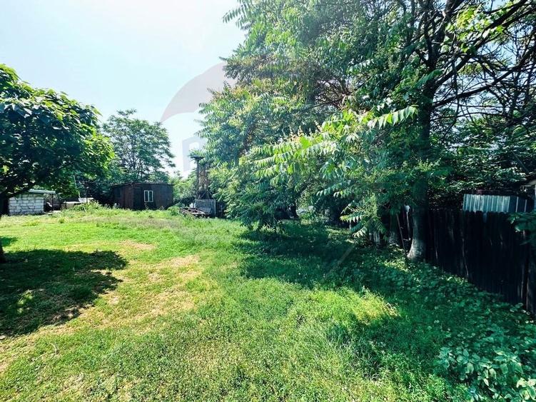 Teren 1537mp cu Livada si Iesire la Lac in Niculesti-Dambovita - 4