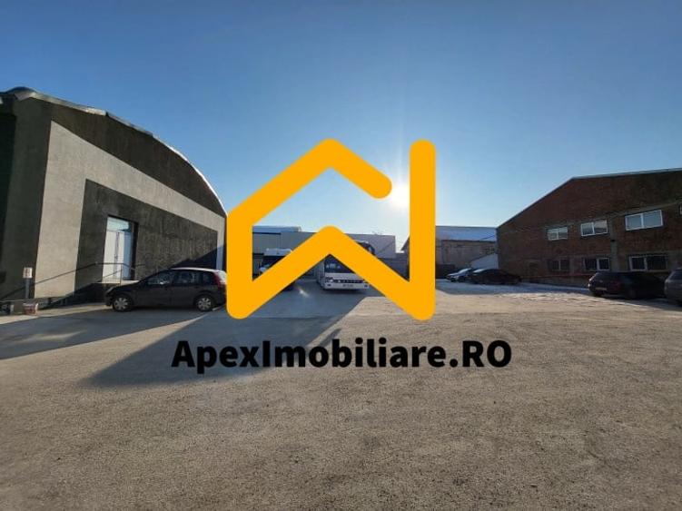 Hala Industriala Xenia – 1800 mp, Acces TIR, Parcare 50 Auto - 5