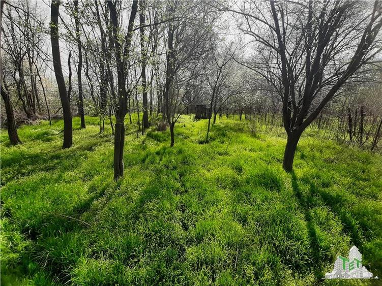 Casa la curte cu livada/teren 1274 mp in Bragadiru - 25