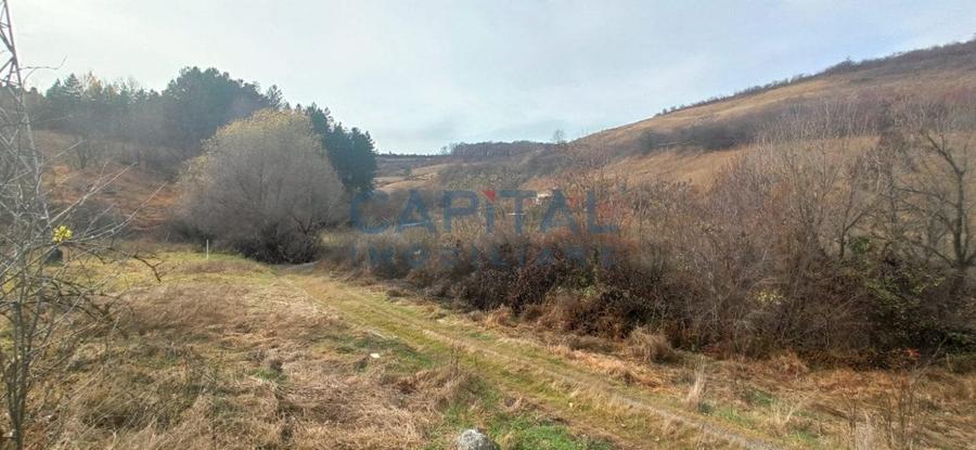 COMISION 0 LA CUMPARARE !! Teren de vanzare in Savadisla ! - 4