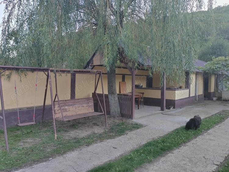 Gospodarie langa Deva - 6