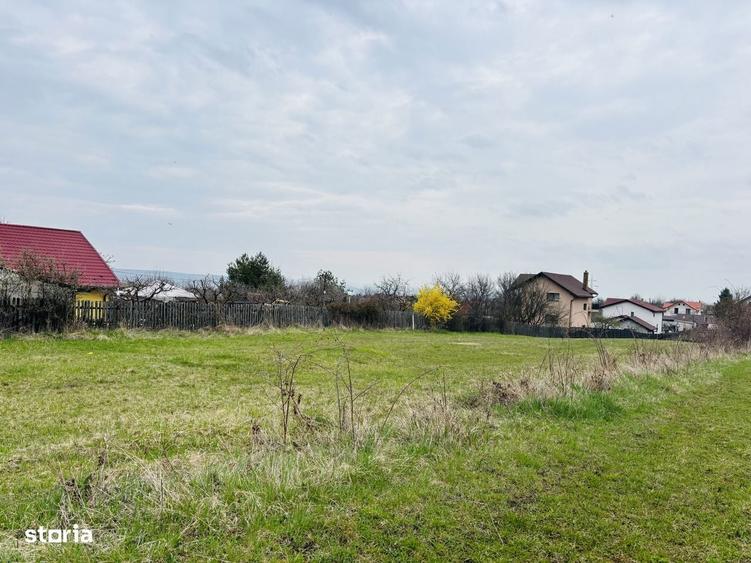 Teren intravilan Nicolae Corches - 4