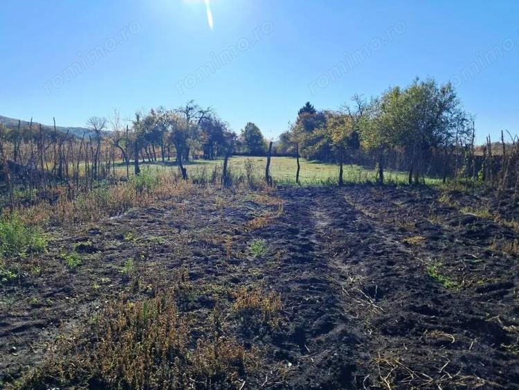 TEREN INTRAVILAN ?I EXTRAVILAN POLOVRAGI-RACOVI?A - 4