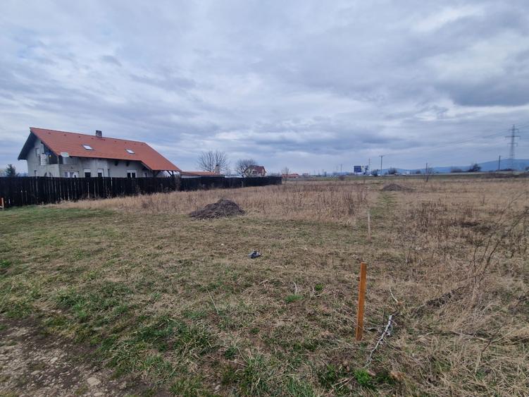 Teren Harman 1000mp - 3