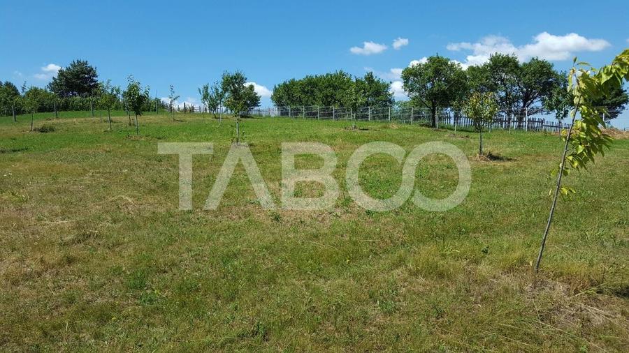 Teren 1974 mp intravilan de vanzare in Loman judetul Alba - 1