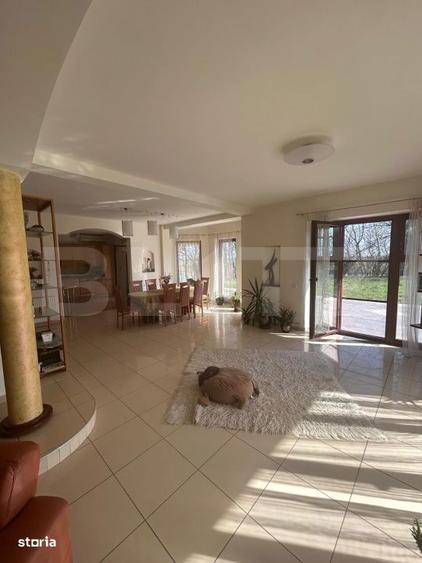 Vila Remetea Mare 380mp utili, 3982 mp teren - 10