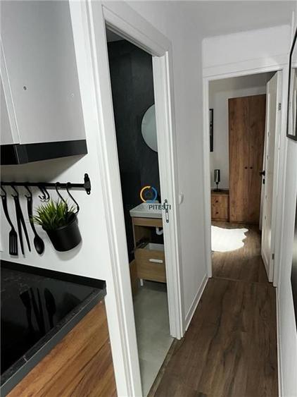 Vanzare casa de vacanta  DELTA DUNARII sat Partizani - 7