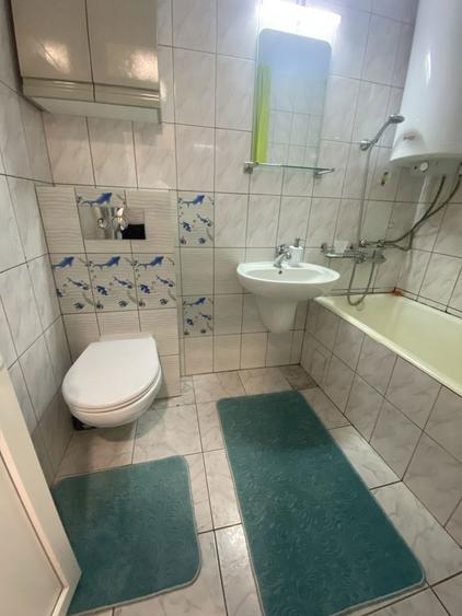 Garsoniera Baile Herculane Ultracentral - 3