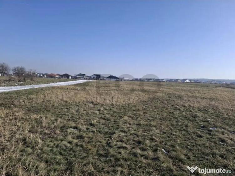 RECO teren extravilan Oradea zona Grigorescu - 2