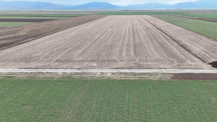 Teren Prejmer - Parc industrial - 7