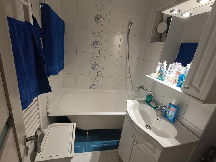Apartament 3 camere renovat si mobilat, zona Doamna Ghica - Tei - 8