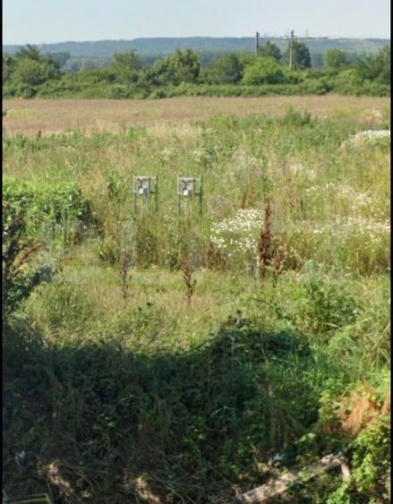 Teren extravilan cu o suprafata de 2373 mp in Racarii de sus - 2