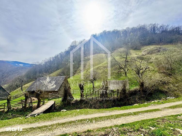 Teren intravilan + faneata, ideal pentru investitie - Rau Sadului - 11