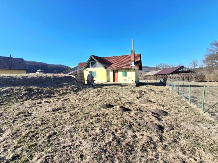 Ferma complet echipata de vanzare – zona Agnita, judetul Sibiu - 12