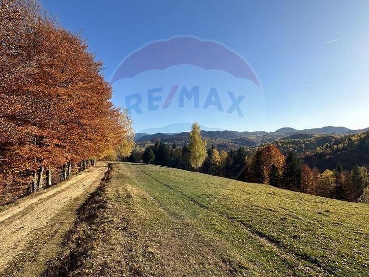 Oportunitate de investiție ! Teren de vis în Pestera - 125.370 mp - 25