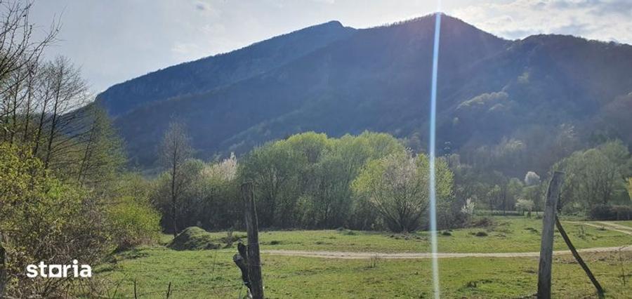 Teren intravilan Closani, 8674 mp pensiune/ casa vacanta - 3