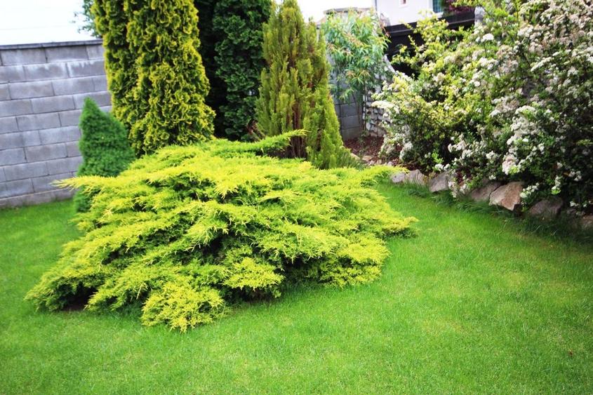 Casa individuala, ideala pentru o familie - 3