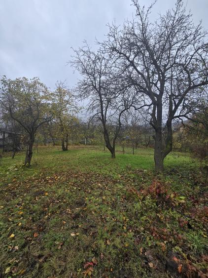 Teren 1000 mp Intravilan - 4