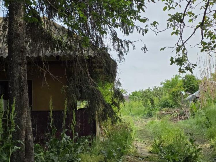 Casa bătrânească pe Malul Garlei Moara Vlasiei 2  - 3