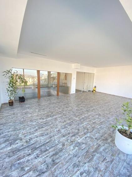 Penthouse Nordului - Complex Persepolis 443 mp utili - 21