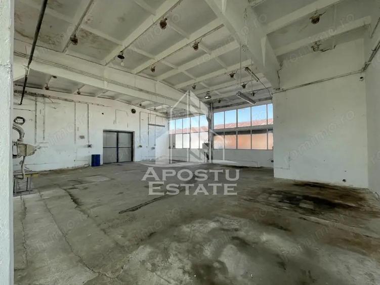 Hala depozitare sau productie, 470 mp, Zona Buziasului - 4
