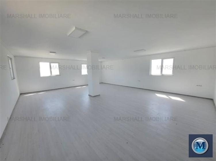 Spatiu industrial de inchiriat, zona Exterior Vest, 1500 mp #16483 - 8