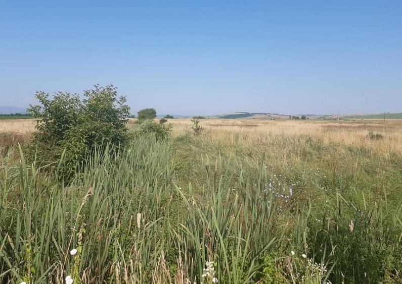 Teren Intravilan DN 14 intre Sibiu si Sura Mare la sosea - 5