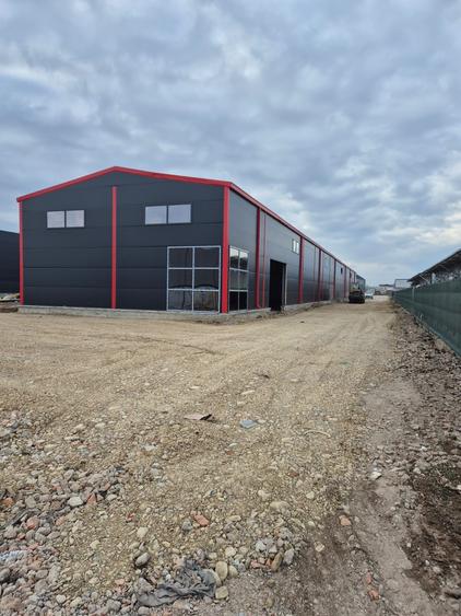 Hale de vânzare Afumați – zona Doraly | 560 mp/unitate | acces DN2, A0, Centură - 1