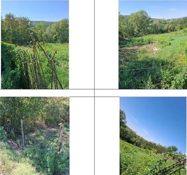 Casa si teren Apostolache, ID R2202581 - 1