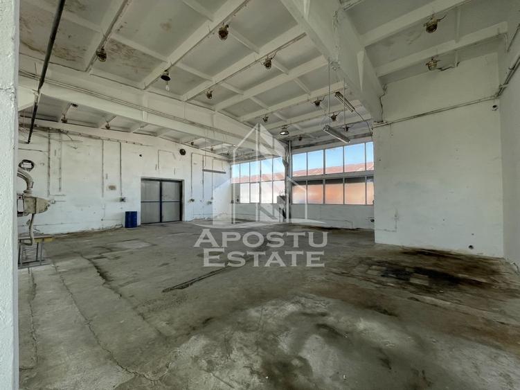 Hala depozitare sau productie, 470 mp, Zona Buziasului - 3
