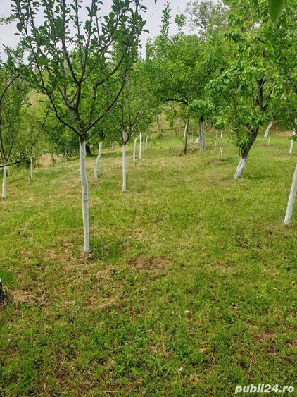 casa in Orevita Mare - 2