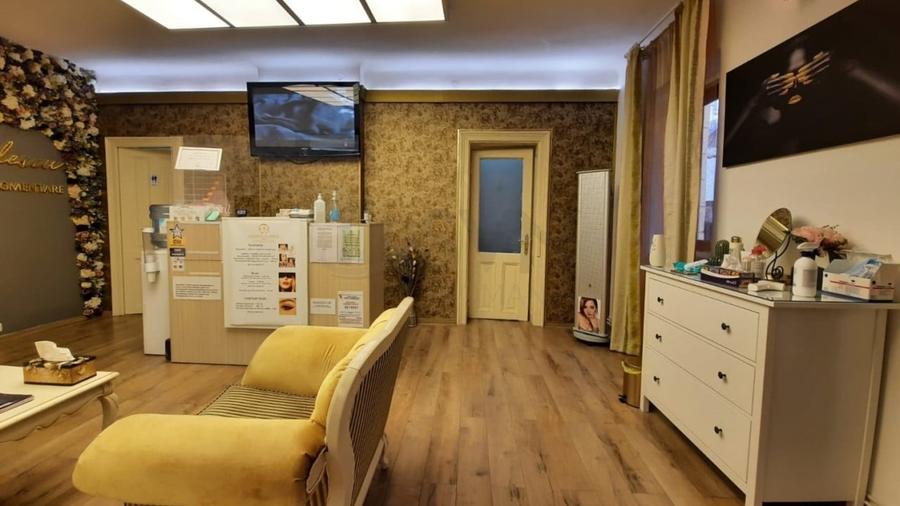 REV0017192 Piata Victoriei - VIla interbelica cu gradina - 2