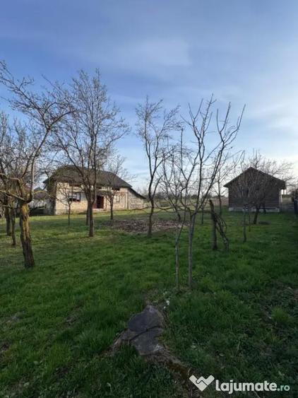Casa Asuaju de Sus, 47 ari teren, investi?ie, necesita re - 5