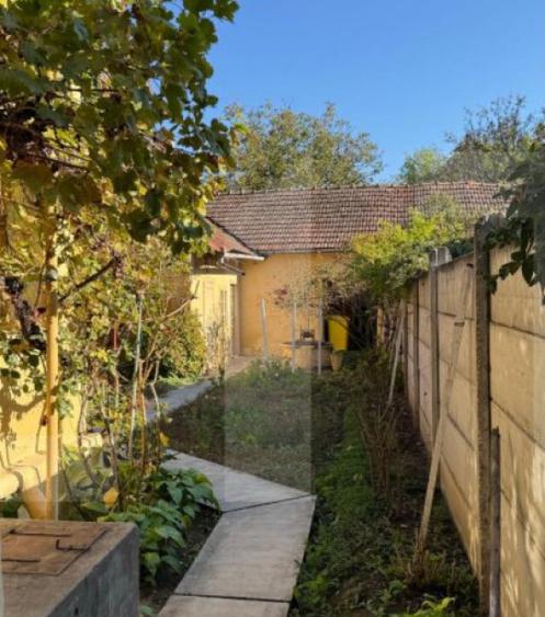 Casa de vanzare in centrul Pancota cu magazin ?i depend - 14