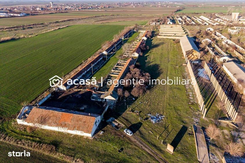 NADLAC | Teren 1.15 HA langa Autostrada | 2.500mp Hale - 4