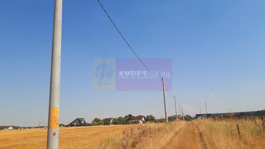 Teren pentru casa/case in Branesti pe strada Toporasi Teren pentru casa/case in Branesti pe strada Toporasi