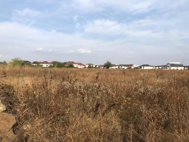 Lot teren 80000 mp Otopeni Sud Est dezvoltare sau lotizare - 2